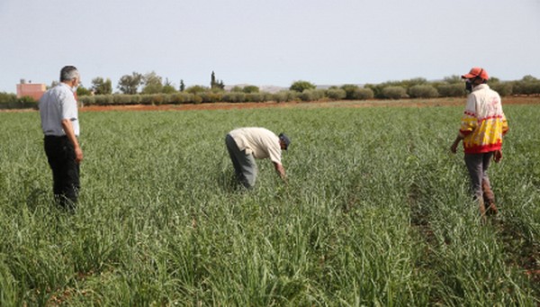 Celebrado el diálogo regional para África sobre los sistemas alimentarios