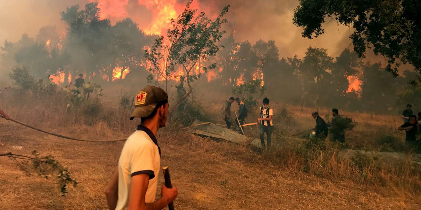 Algérie: indignation après le lynchage présumé d'un "pyromane"