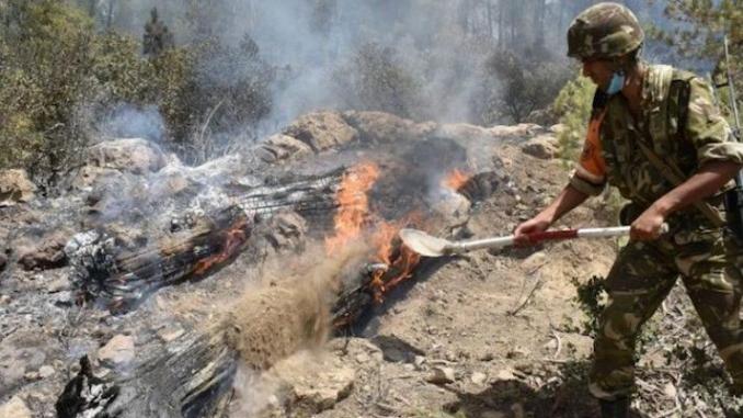 Incendies en Algérie: un phénomène aggravé par le manque d'anticipation