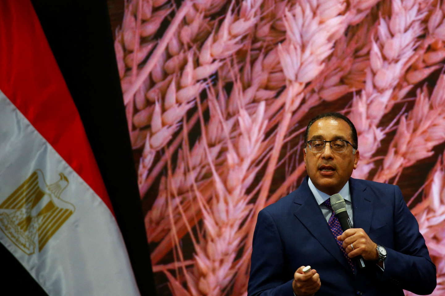 L'Égypte a élaboré un vaste plan de privatisation