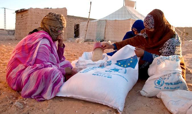 L'ambassadeur algérien à Bruxelles sort de son anonymat pour nier les détournements de l'aide humanitaire destinée aux camps de Tindouf