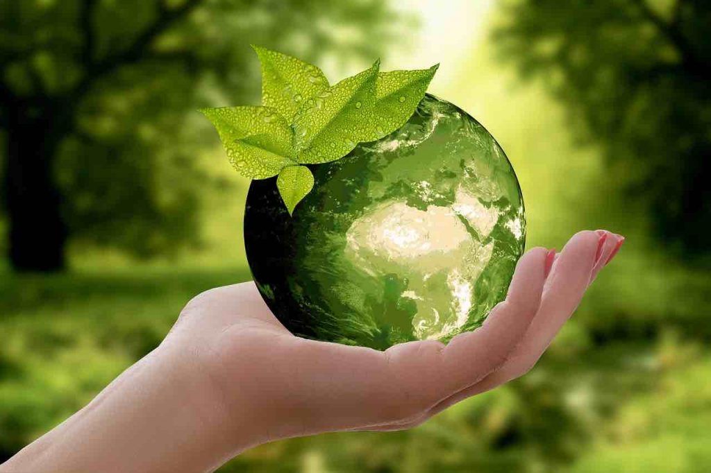 Bulletin écologique du Maghreb du 11/09/2021