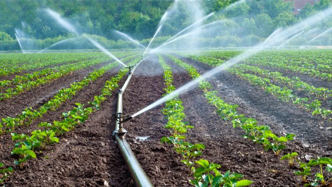 Irrigation durable : le Maroc disposé à partager son expérience avec les pays africain