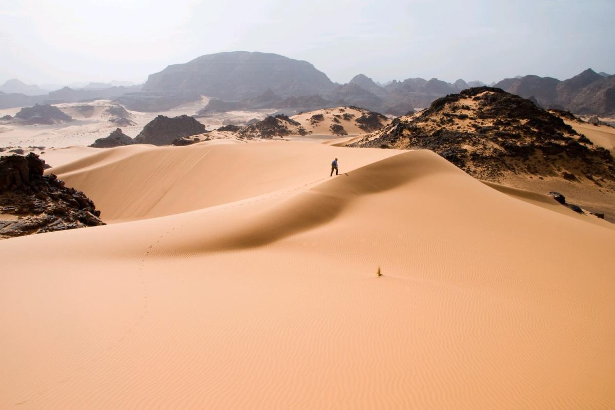 UMD : Le Sahara a augmenté de 10%, en 93 ans