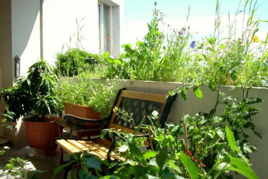 Jardins de balcons: cultiver des plantes...et des esprits