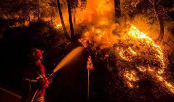 Experts: Le changement climatique aggravera la fréquence des incendies de forêts