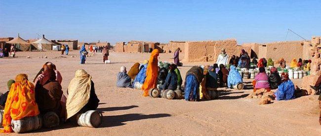 Une académicienne péruvienne démontre à l'ONU l'illégitimité du Polisario à représenter la population sahraouie