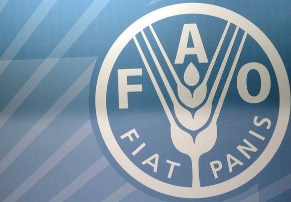 FAO : Quelque 11 millions de personnes touchées par l'insécurité alimentaire au Sahel