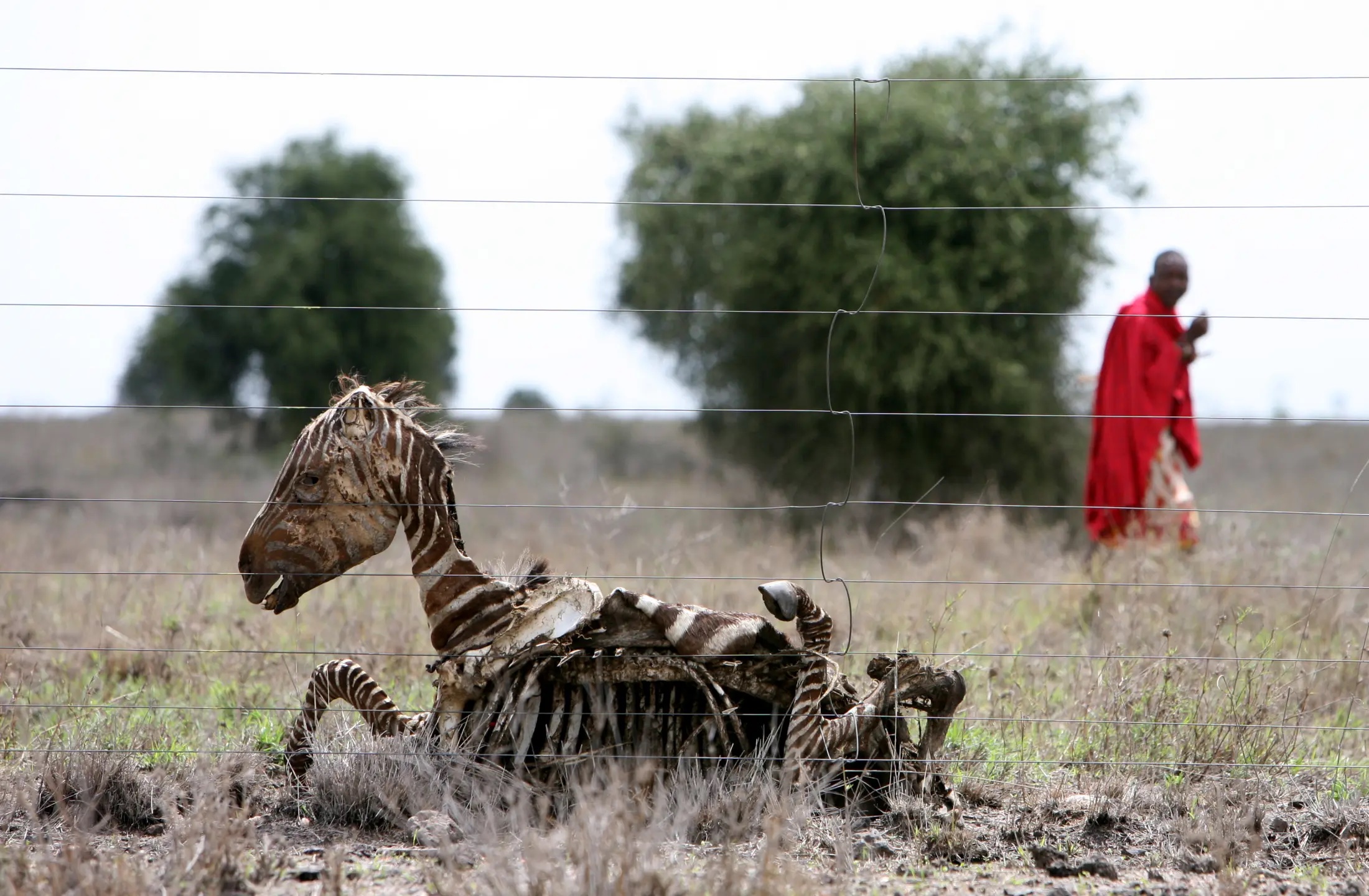 Covid a fait de l'Afrique le continent le plus triste