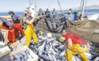 L'eurodéputé Pargneaux : "Les bateaux européens seront les premières victimes d’une invalidation de l’accord de pêche Maroc-UE"