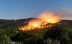 Algérie : 4271 hectares de couvert forestier ravagés par 814 incendies