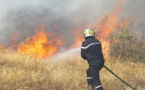 Quatre morts dans des incendies de forêts en Algérie