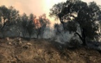 Algérie: plus de 40 morts dans les incendies qui ravagent le nord