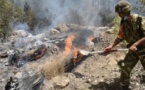 Incendies en Algérie: un phénomène aggravé par le manque d'anticipation