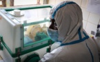 La Côte d'Ivoire enregistre son premier cas de virus Ebola depuis 1994
