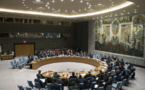 Sahel: Le Conseil de sécurité de l'ONU préoccupé par la montée du terrorisme