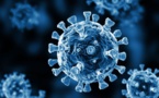 L'Afrique du Sud détecte le nouveau variant du coronavirus C.1.2