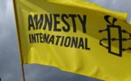 Amnesty accuse l'Egypte de "harceler" les militants pour les "réduire au silence"