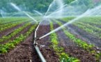 Irrigation durable : le Maroc disposé à partager son expérience avec les pays africain