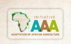 Marrakech : Les pays africains, appelés à trouver des solutions durables pour adapter l’agriculture aux changements climatiques (Conférence)