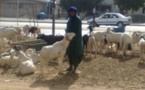 Tabaski ou Aïd al Adha : la fête qui métamorphose le quotidien des Sénégalais