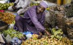 Crise alimentaire, inflation : le Sahel en état de siège