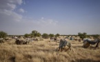 Mali: les jihadistes tuent 40 civils complices selon eux de leurs rivaux