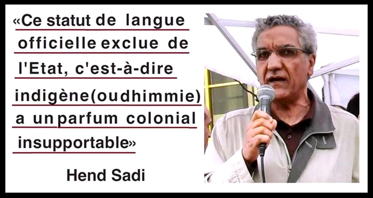 Image d'illustration: commentaire de Hend sadi sur l'officialisation de Tamazight & Photo de sa prise de parole au Rassemblement de solidarité avec l'Azawad, Trocadéro, juillet 2012 (PH/DR))