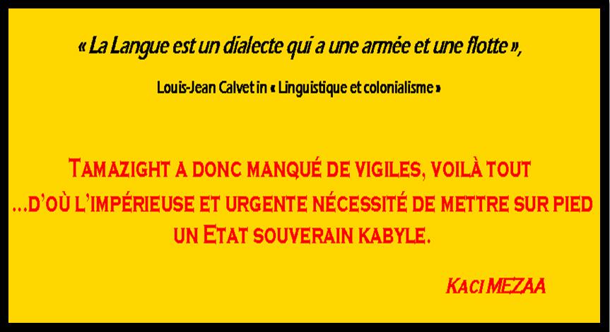 "Aux Kabyles d’officialiser le kabyle", une contribution de Kaci MEZAA
