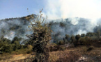 Incendie dans la forêt d'Akfadu : « il a été provoqué par des militaires algériens » (vidéo)