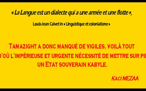 "Aux Kabyles d’officialiser le kabyle", une contribution de Kaci MEZAA