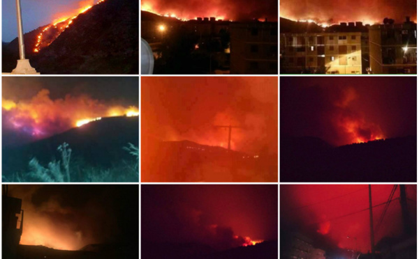 La Kabylie en feu : près de 60 incendies en 48 heures